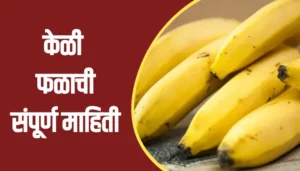 Banana Fruit Information In Marathi