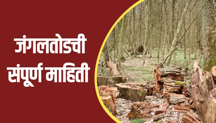 Deforestation Information In Marathi